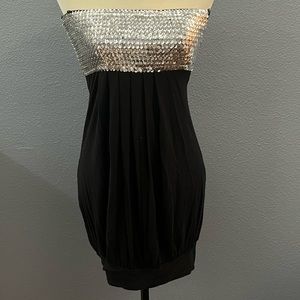 Passport Sequin Fitted Mini Tube/Strapeless Dress Sz Lg
